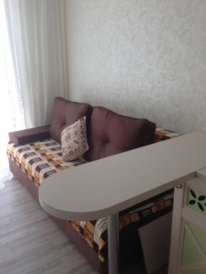 Apartment on Volzhskaia 34